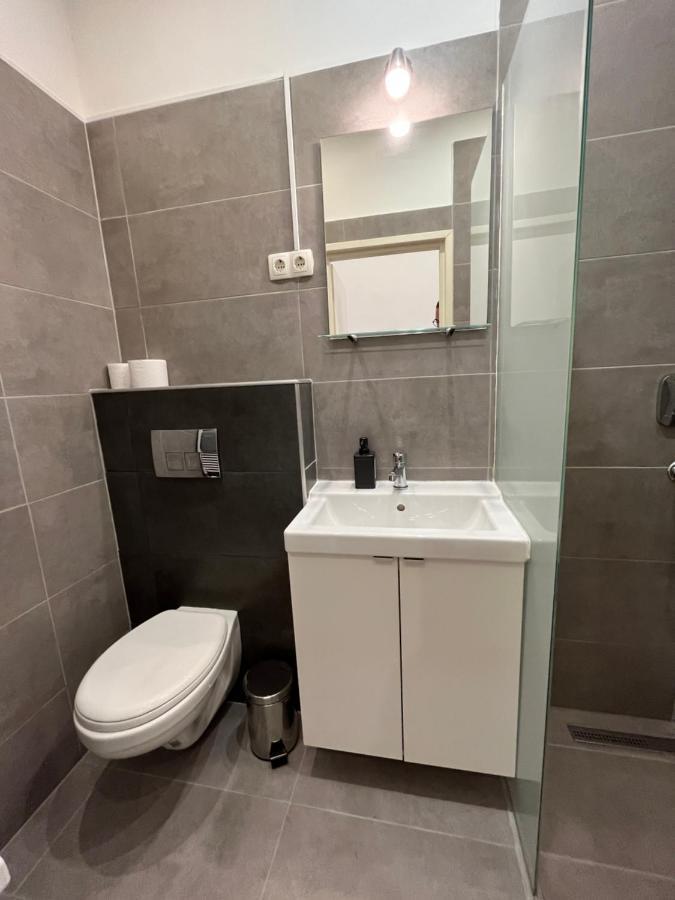 D58 Superior In The Center Apartmán Budapešť